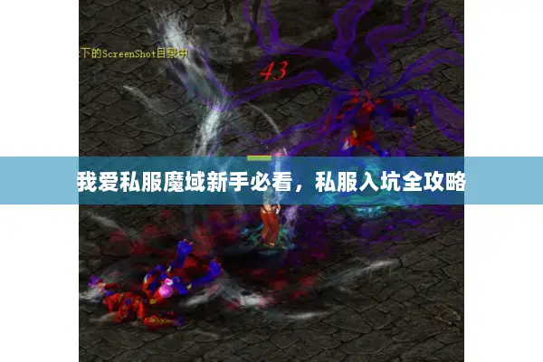 我爱私服魔域新手必看，私服入坑全攻略