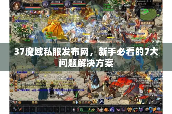 37魔域私服发布网，新手必看的7大问题解决方案