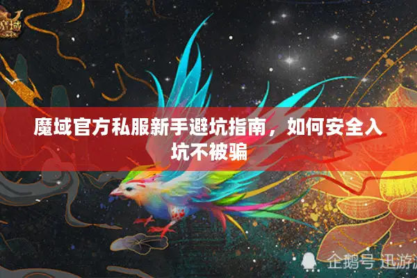 魔域官方私服新手避坑指南，如何安全入坑不被骗