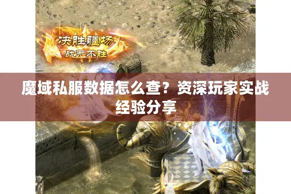 魔域私服数据怎么查？资深玩家实战经验分享