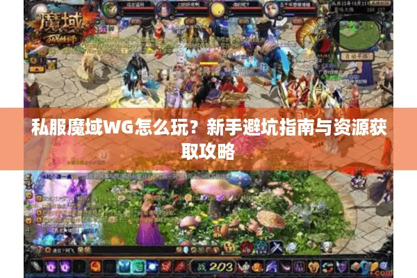 私服魔域WG怎么玩？新手避坑指南与资源获取攻略