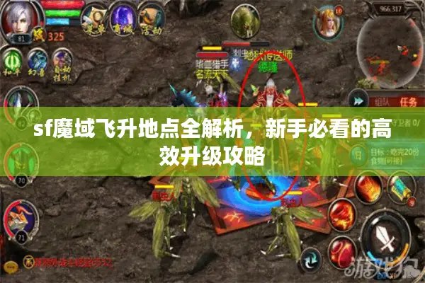 sf魔域飞升地点全解析，新手必看的高效升级攻略