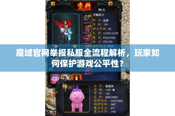 魔域官网举报私服全流程解析，玩家如何保护游戏公平性？