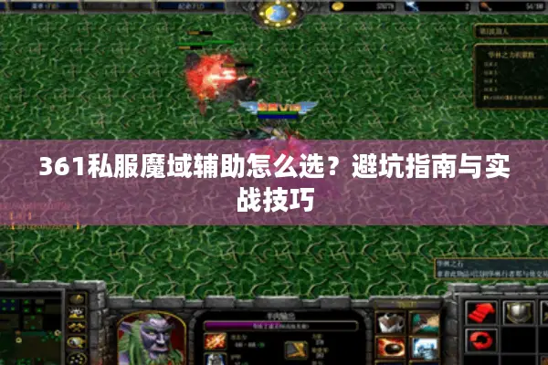 361私服魔域辅助怎么选？避坑指南与实战技巧