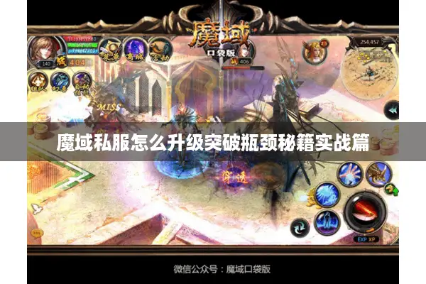 魔域私服怎么升级突破瓶颈秘籍实战篇